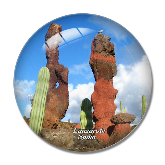 Spain Lanzarote Cactus Garden 3D Fridge Magnet Crystal Glass