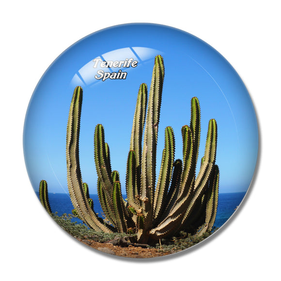 Spain Tenerife Cactus Cactus 3D Fridge Magnet Crystal Glass