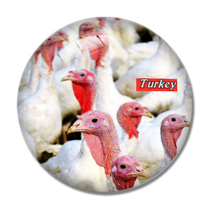 Turkey Birds 3D Fridge Magnet Crystal Glass