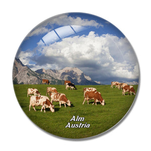 Austria Alm Pasture Cow 3D Fridge Magnet Crystal Glass