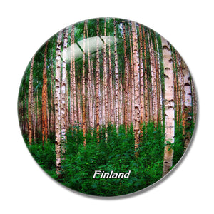 Finland Birch Trees 3D Fridge Magnet Crystal Glass