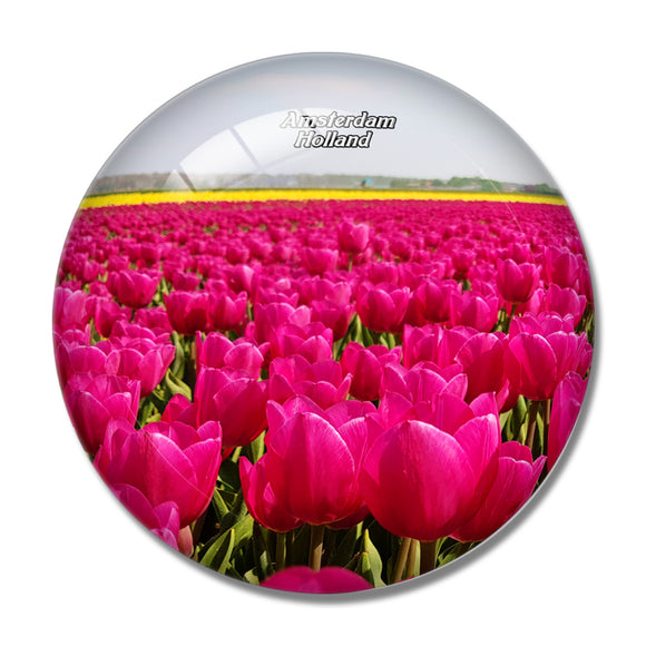 Netherlands Holland Amsterdam Tulip 3D Fridge Magnet Crystal Glass