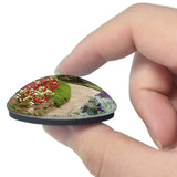 Botanical Garden Victoria Seychelles 3D Fridge Magnet Crystal Glass