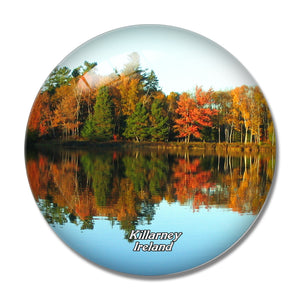 Ireland Killarney National Park 3D Fridge Magnet Crystal Glass