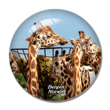 Norway Bergen Zoo Giraffe 3D Fridge Magnet Crystal Glass