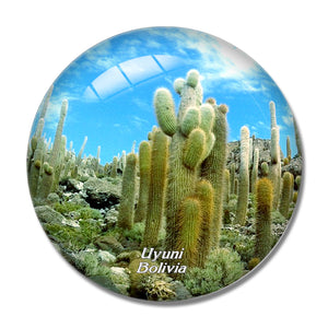 Uyuni Bolivia 3D Fridge Magnet Crystal Glass