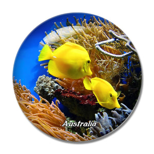 Australia Coral Fish 3D Fridge Magnet Crystal Glass