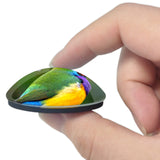 Australia Gouldian Finch Bird 3D Fridge Magnet Crystal Glass