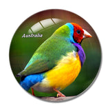 Australia Gouldian Finch Bird 3D Fridge Magnet Crystal Glass