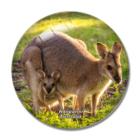 Australia Kangaroo 3D Fridge Magnet Crystal Glass