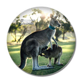 Australia Kangaroo 3D Fridge Magnet Crystal Glass