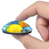 Egypt Sharm el-Sheikh Fish 3D Fridge Magnet Crystal Glass