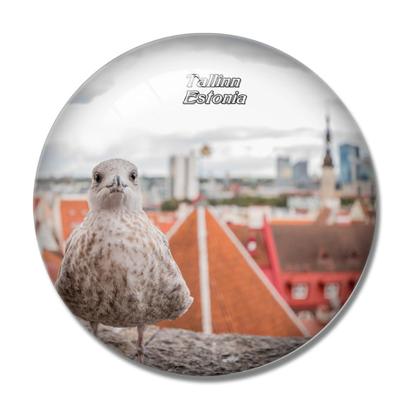 Estonia Seagull Bird Tallinn 3D Fridge Magnet Crystal Glass