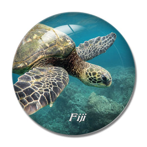 Fiji Turtle 3D Fridge Magnet Crystal Glass