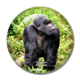 Gorillas Rwanda 3D Fridge Magnet Crystal Glass