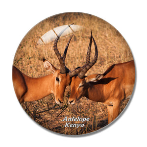 Kenya Antelope 3D Fridge Magnet Crystal Glass