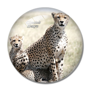 Kenya Cheetah 3D Fridge Magnet Crystal Glass