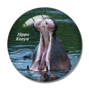 Kenya Hippo 3D Fridge Magnet Crystal Glass