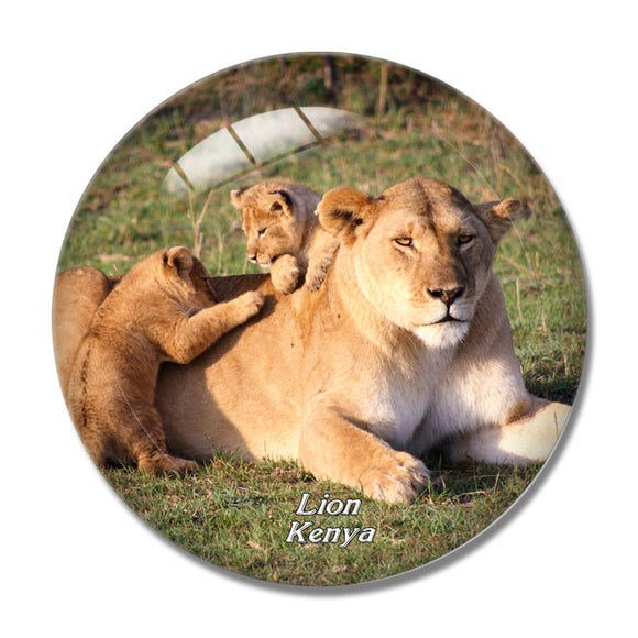 Kenya Lion Cubs 3D Fridge Magnet Crystal Glass