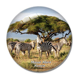 Kenya Masai Mara Zebras Safari 3D Fridge Magnet Crystal Glass