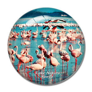 Kenya Pink Flamingo Lake Nakuru 3D Fridge Magnet Crystal Glass