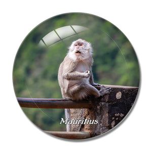 Mauritius Long Tailed Macaque 3D Fridge Magnet Crystal Glass