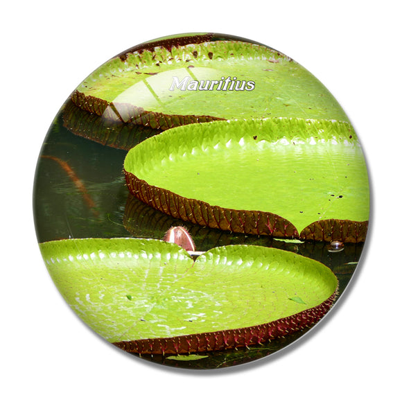 Mauritius PamplemousseGarden 3D Fridge Magnet Crystal Glass