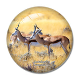 Namibia Antelope 3D Fridge Magnet Crystal Glass