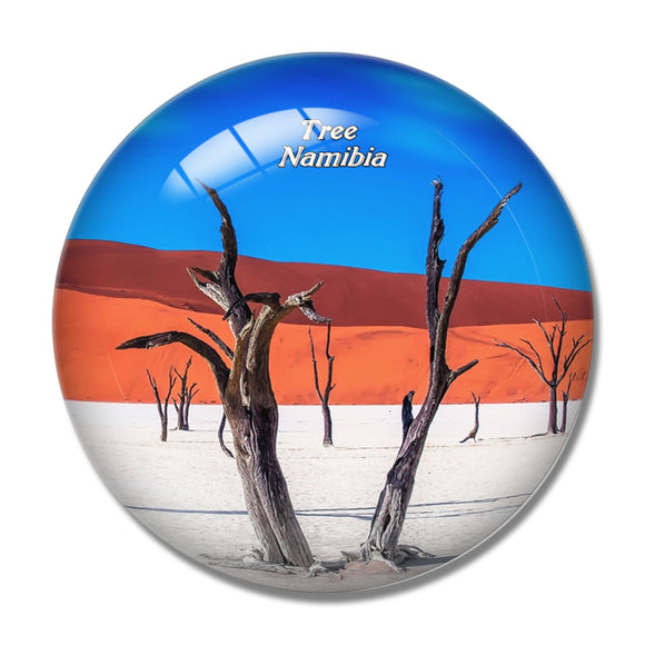 Namibia Wilderness Tree 3D Fridge Magnet Crystal Glass