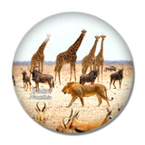 Namibia Wildlife 3D Fridge Magnet Crystal Glass