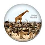 Namibia Zebra Giraffe 3D Fridge Magnet Crystal Glass