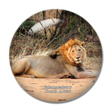 South Africa Lion Johannesburg 3D Fridge Magnet Crystal Glass