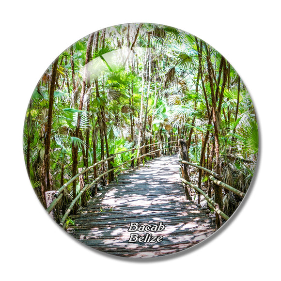 Belize Bacab Jungle Park 3D Fridge Magnet Crystal Glass