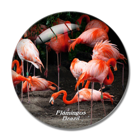 Brazil Flamingos 3D Fridge Magnet Crystal Glass