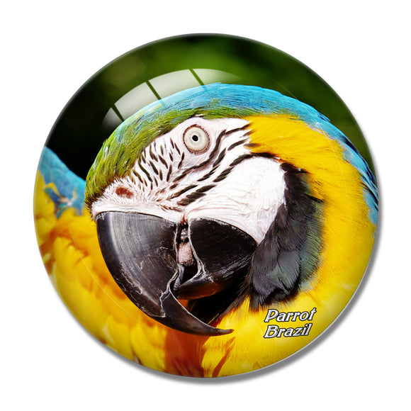 Brazil Parrot Birds 3D Fridge Magnet Crystal Glass