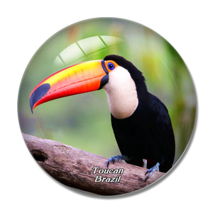 Brazil Toco Toucan 3D Fridge Magnet Crystal Glass