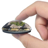 Colombia Rosario Islands Cartagena 3D Fridge Magnet Crystal Glass