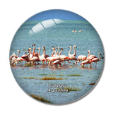 Flamingo Patagonia Calafate Argentina 3D Fridge Magnet Crystal Glass