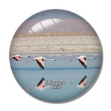 Flamingo Salt Lake Atacama Chile 3D Fridge Magnet Crystal Glass