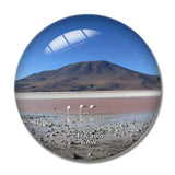 Flamingos Volcano Salt Lake Atacama Desert Chile 3D Fridge Magnet Crystal Glass