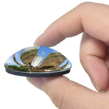 Generic Floralis Buenos Aires Argentina 3D Fridge Magnet Crystal Glass