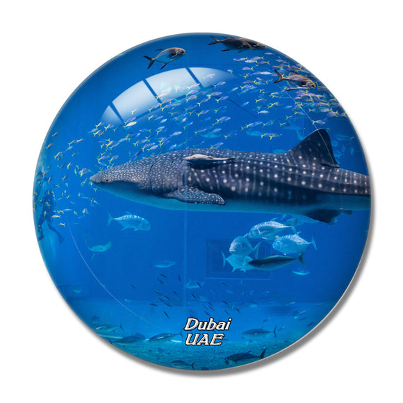 UAE Dubai Aquarium 3D Fridge Magnet Crystal Glass