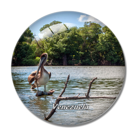 Venezuela Maracaibo 3D Fridge Magnet Crystal Glass