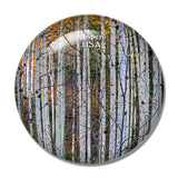 USA America Aspen Tree 3D Fridge Magnet Crystal Glass