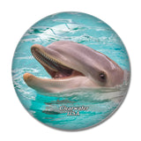 USA America Clearwater Marine Aquarium 3D Fridge Magnet Crystal Glass
