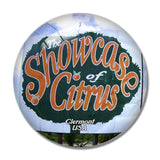 USA America Clermont Showcase of Citrus 3D Fridge Magnet Crystal Glass