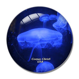 USA America Corpus Christi Texas State Aquarium 3D Fridge Magnet Crystal Glass