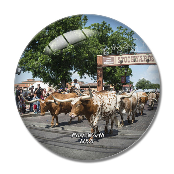 USA America Cowboys Fort Worth 3D Fridge Magnet Crystal Glass