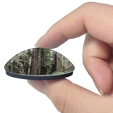 USA America Crescent  Redwoods Park 3D Fridge Magnet Crystal Glass