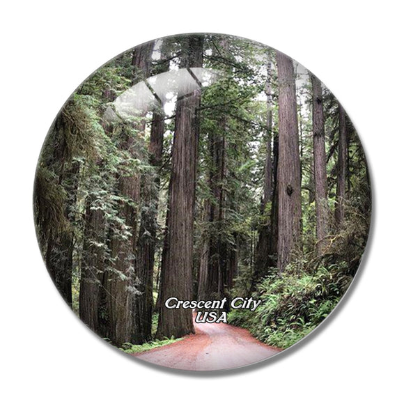 USA America Crescent  Redwoods Park 3D Fridge Magnet Crystal Glass